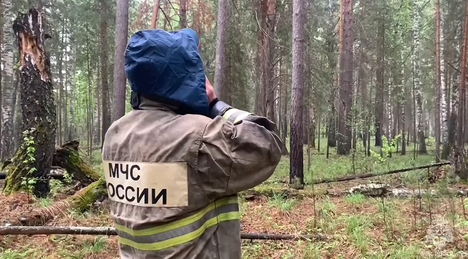 В Свердловской области пропали двое детей