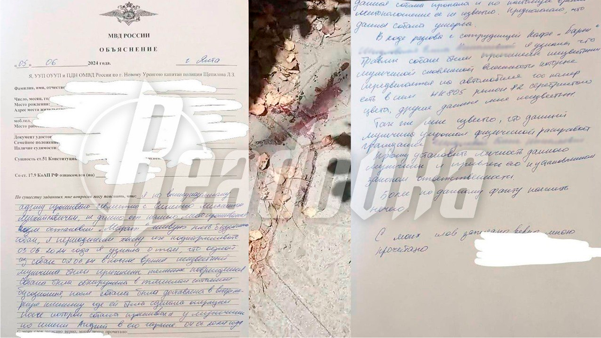 В Ялте мужчина жестоко избил собаку за царапину на машине