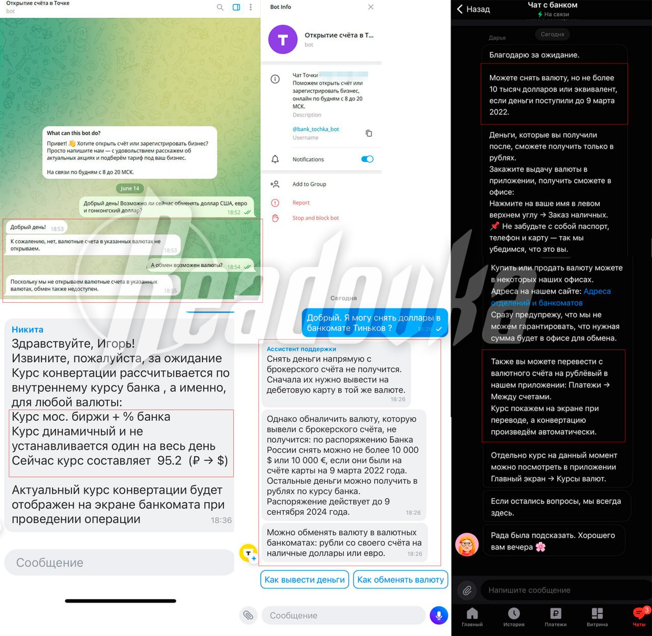 Readovka узнала, как обстоят дела с обменом валюты в российских банках после санкций США