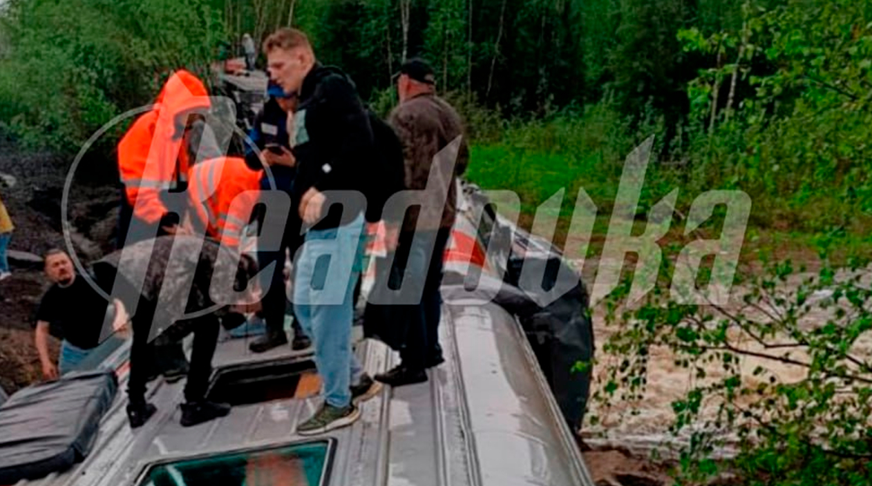 В Коми при сходе с путей поезда погибли два человека