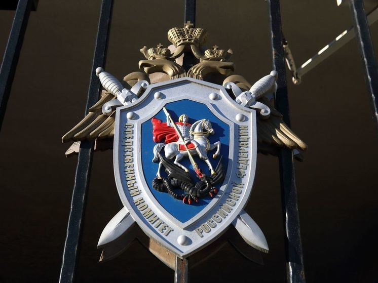 Мошенники стали создавать фейковые сайты СК якобы для помощи участникам СВО
