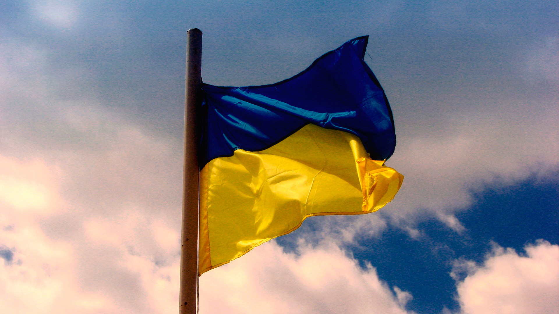 Почти половина украинцев выступила за мирные переговоры с Россией