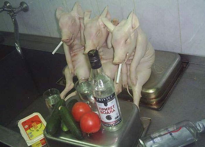 Чем нельзя закусывать водочку