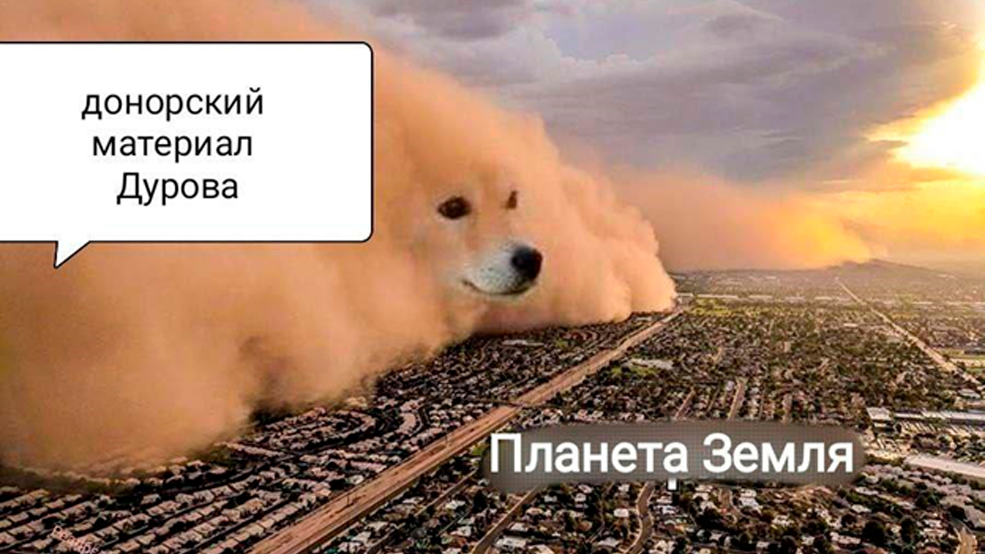 Новость о 100 детях Дурова сделала его героем интернет-мемов
