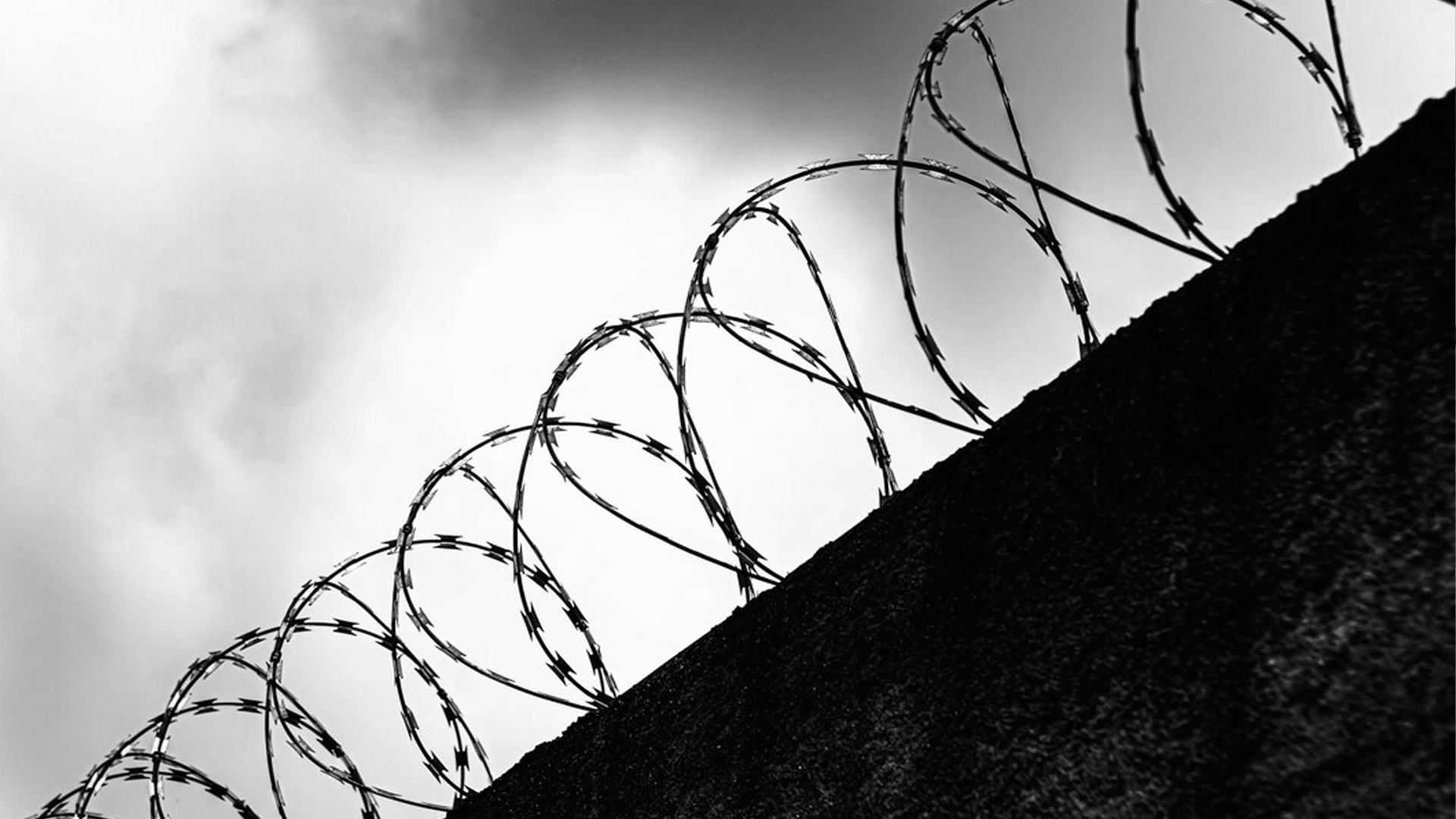 СК попросил арестовать принимавших участие в СВО на сторону ВСУ мужчин за госизмену