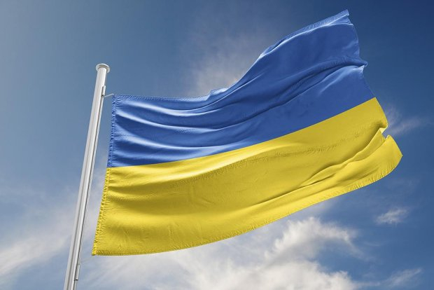 «Другая Украина» обратилась в международные инстанции ради восстановления прав граждан