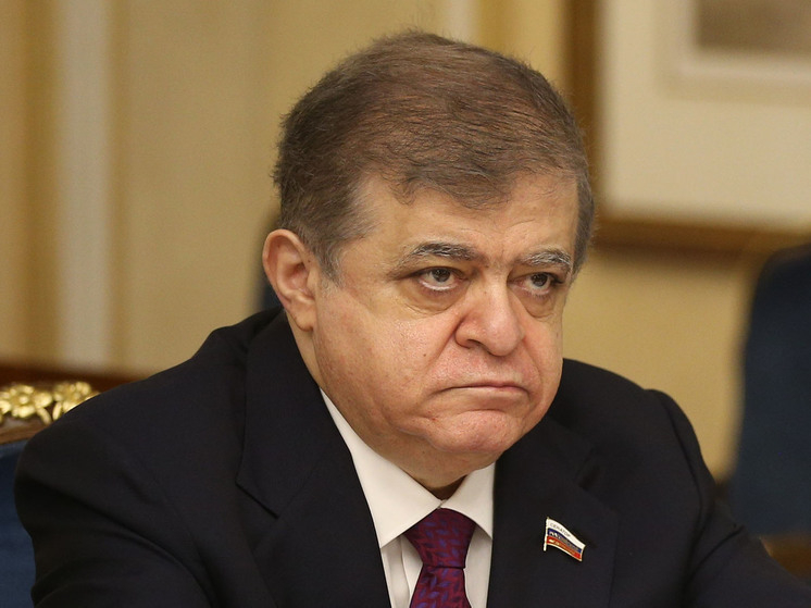 Сенатор Джабаров: проникшим в Курскую область боевикам ВСУ пощады не будет