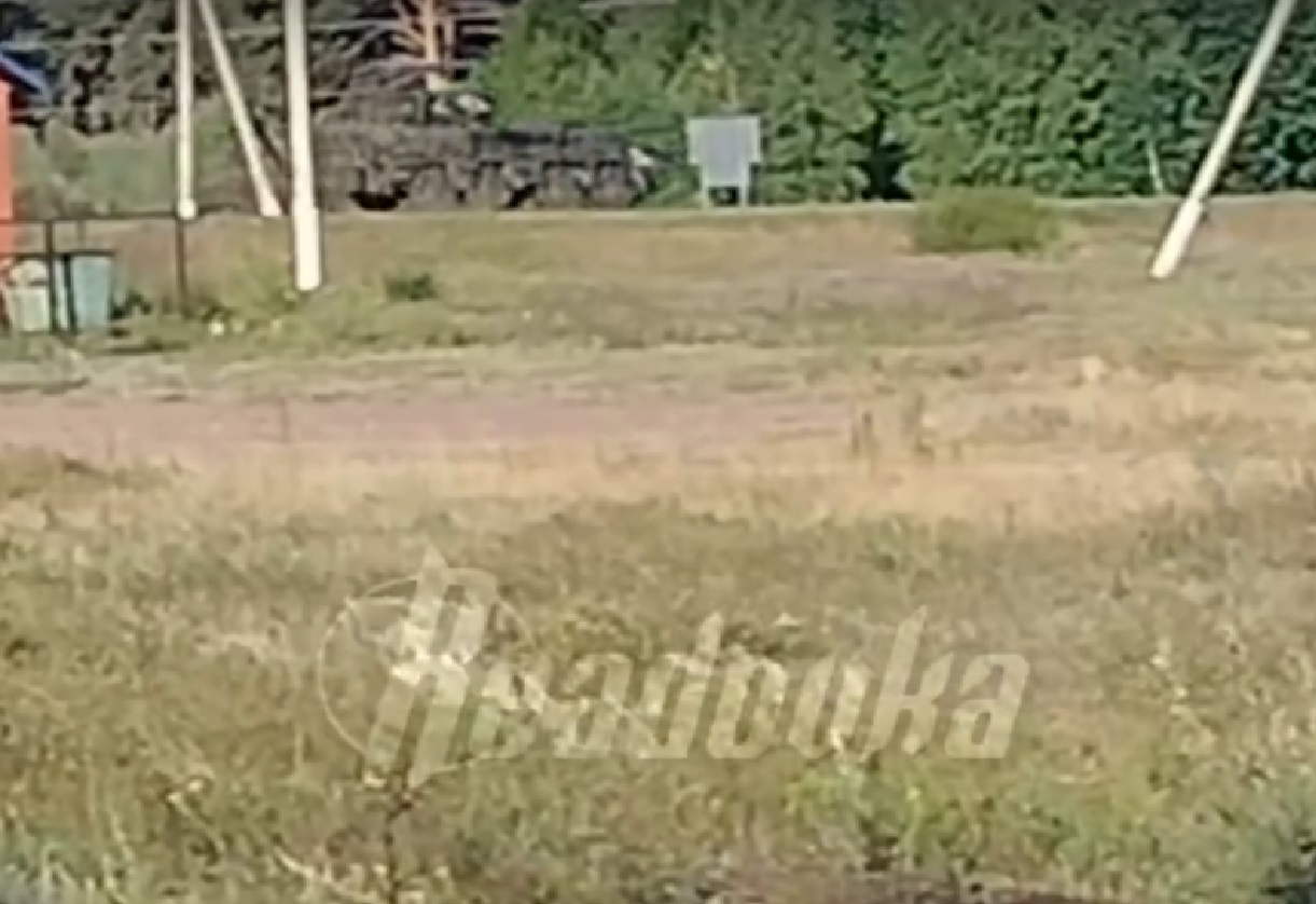 В деревне Гирьи Курской области у границы с Украиной заметили вражескую ДРГ