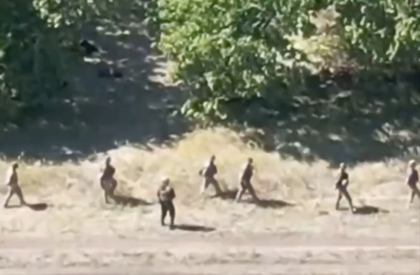 В Курской области более 20 украинских боевиков сдались в плен