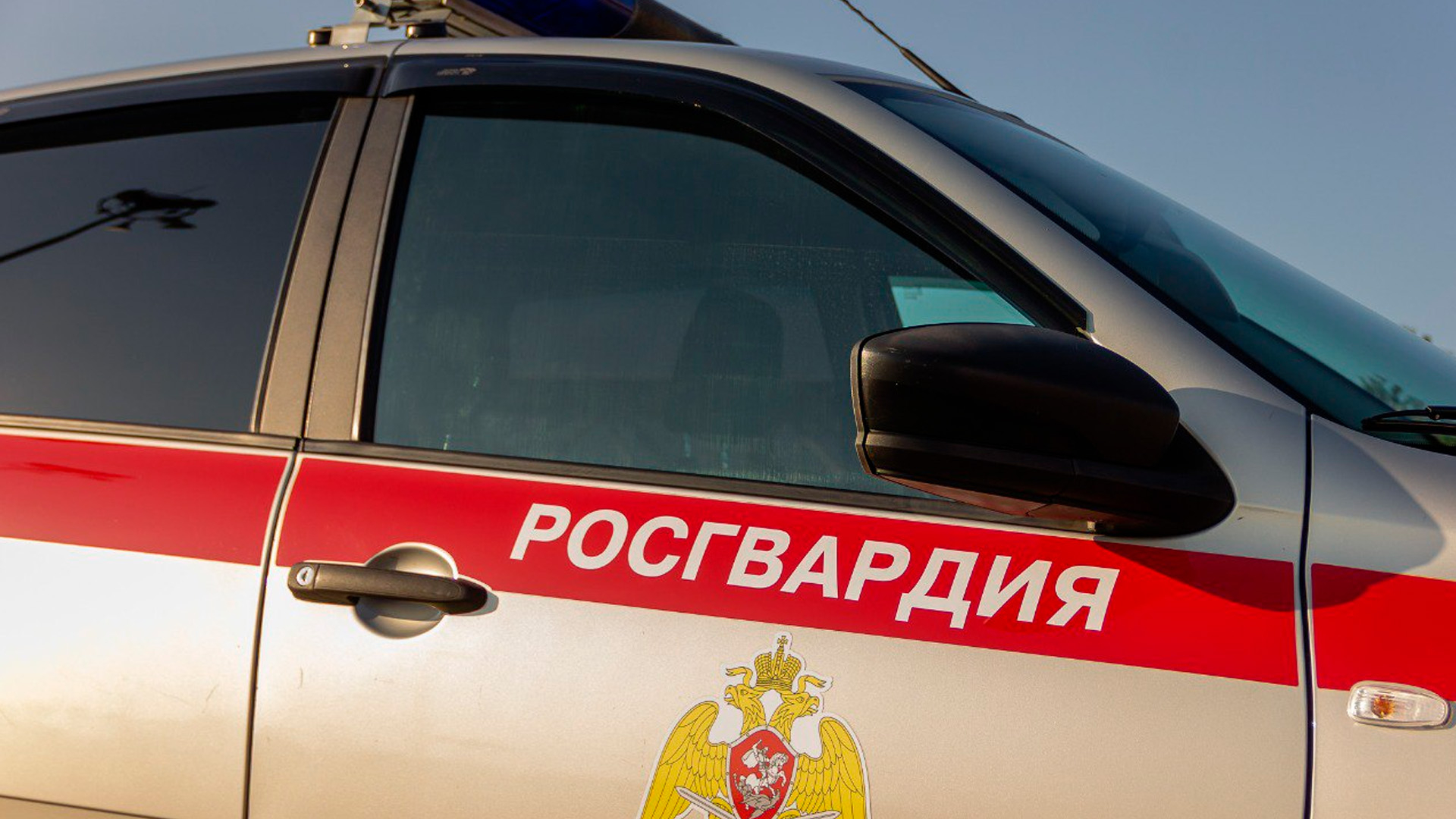 В Сочи задержали кидавшуюся камнями в охранников туристку