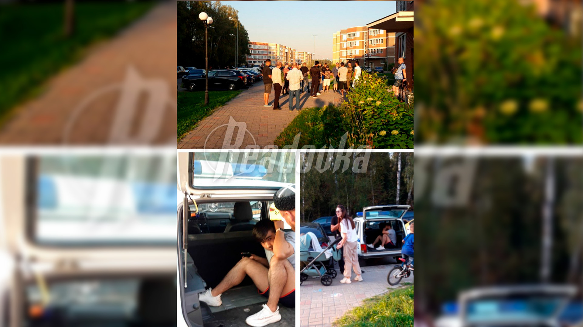В лесу Подмосковья мигранты устроили самодельный тир