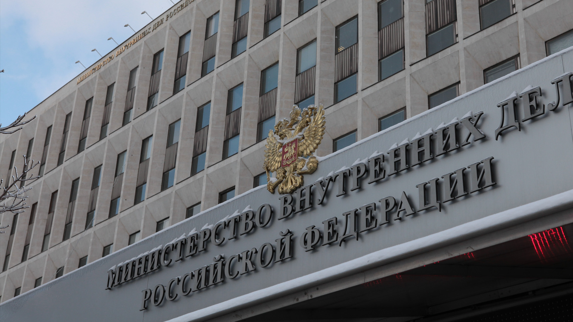 За 8 месяцев российского гражданства лишили более 1 000 человек