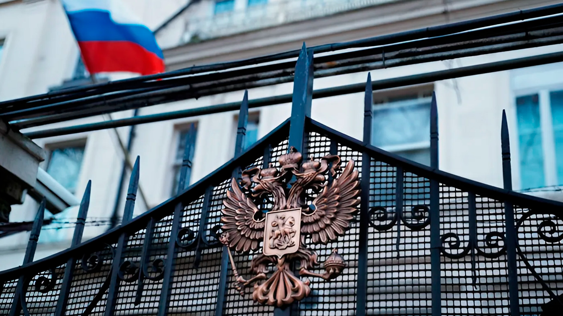 После указа Путина более 30 британцев заинтересовались переездом в Россию