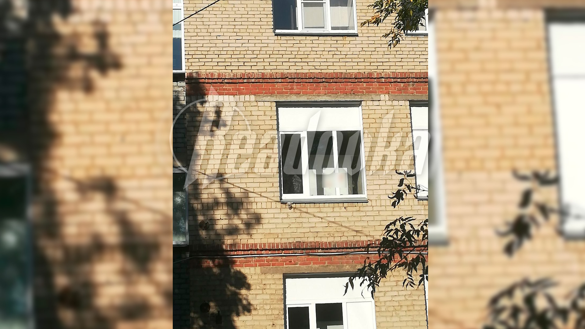 Появились кадры последствий нападения школьника в Челябинске