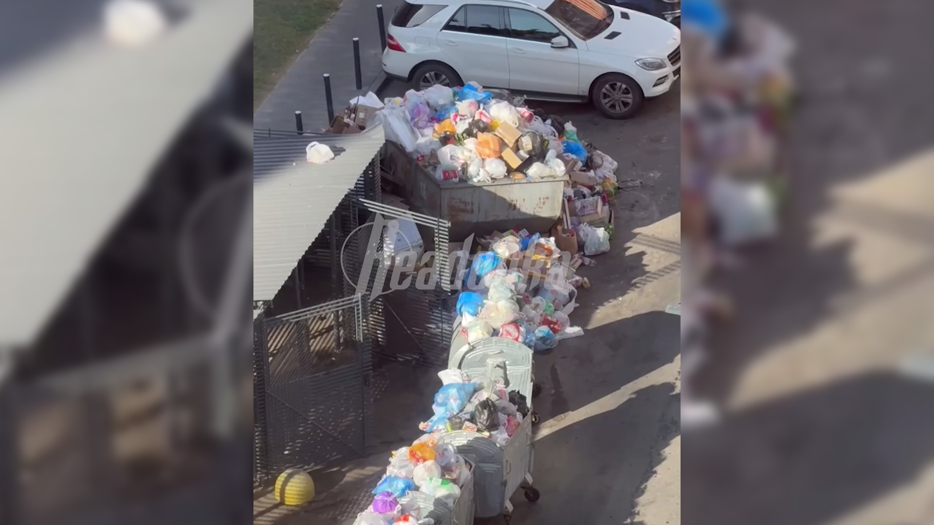 ЖК «Восточное Бутово» заполонили крысы и мусор