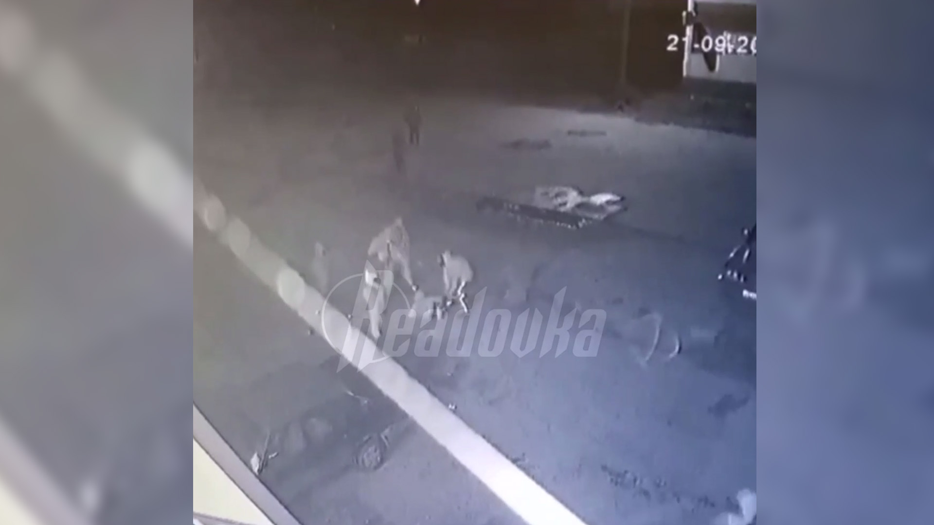 На Алтае толпа неизвестных устроила перестрелку в кафе