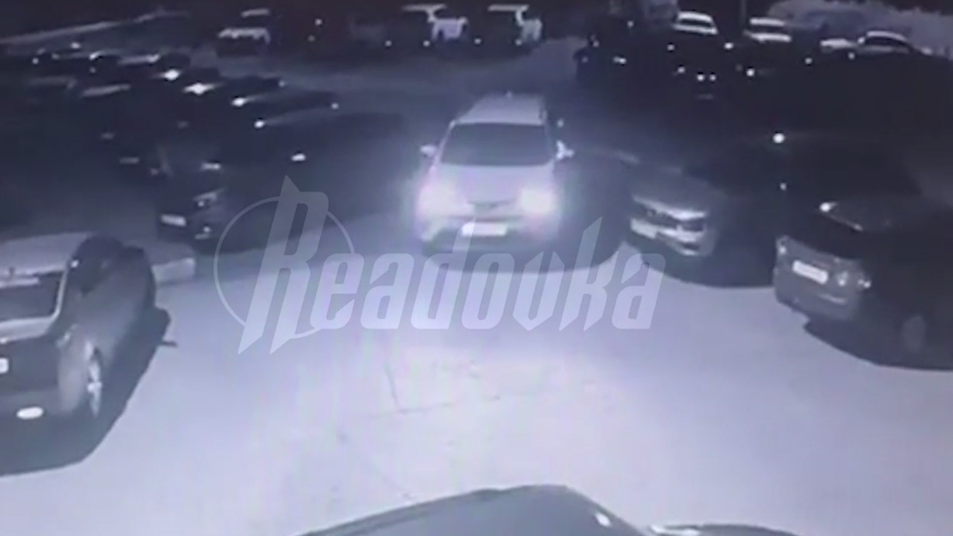 Тело похищенной жительницы Саратова нашли с перерезанным горлом