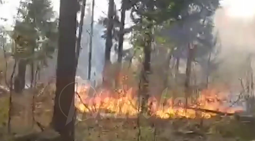 В Балашихе бушуют лесные пожары