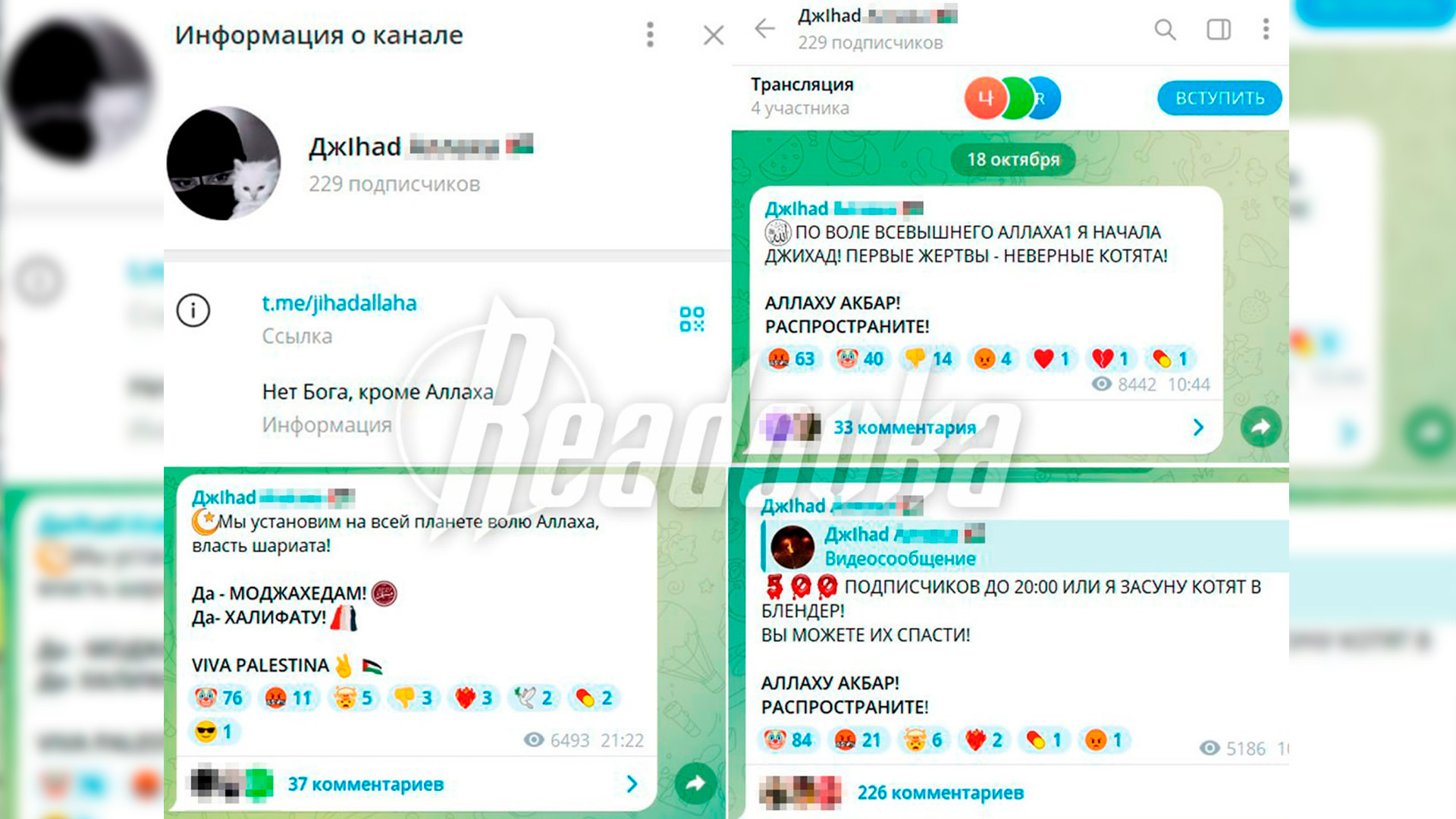 Двое подростков из Амурской области устроили пытки над животными