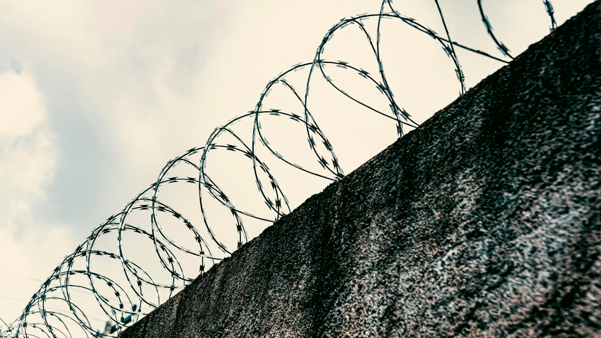 В Липецкой области из колонии сбежали 6 заключенных