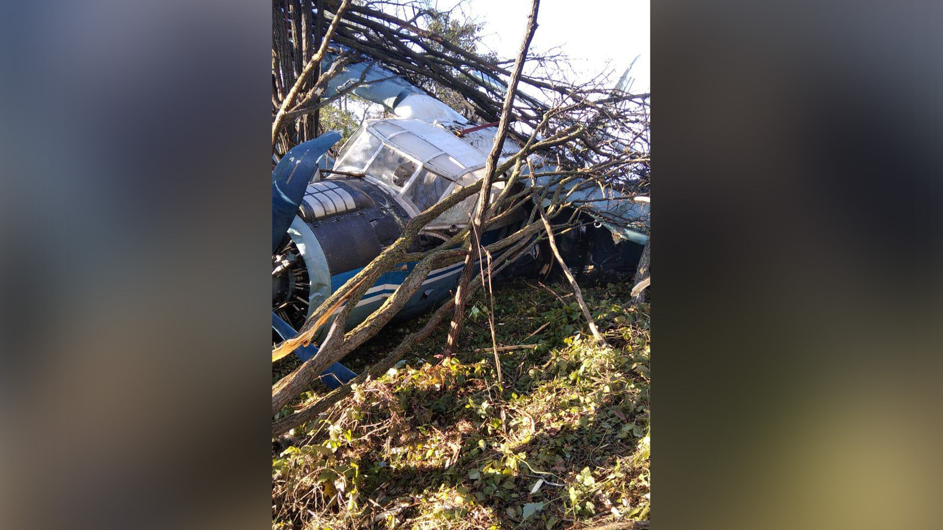 В Ставропольском крае вынужденную посадку совершил самолет Ан-2