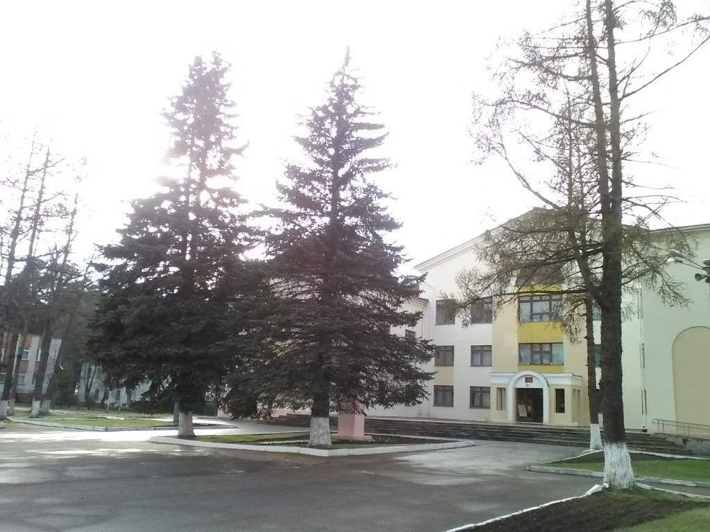 Приезд в провинцию Александра Лукашенко чуть не стоил местным жителям двух елей