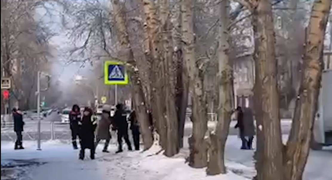 Зоозащитники в Тыве напали на специалистов по отлову собак с ножом