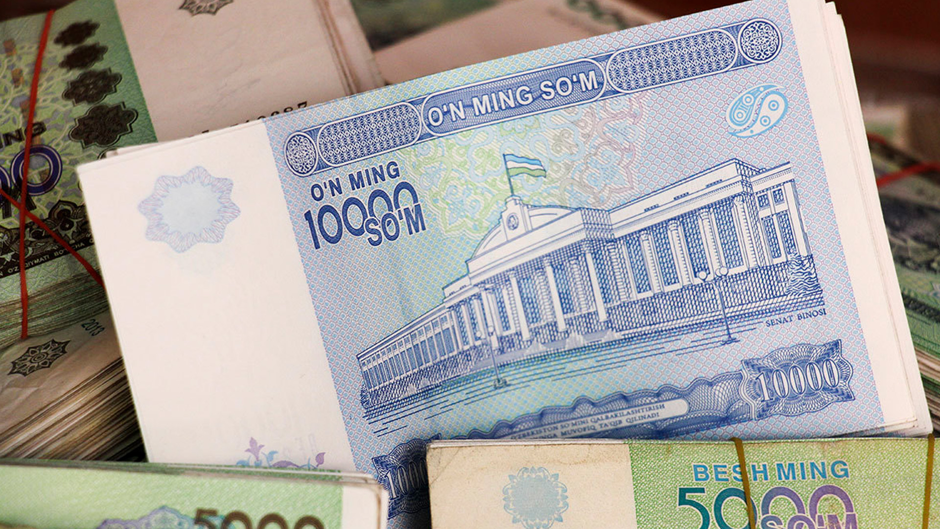 Почти 10 млрд долларов с начала 2024 года вывели из России граждане Узбекистана