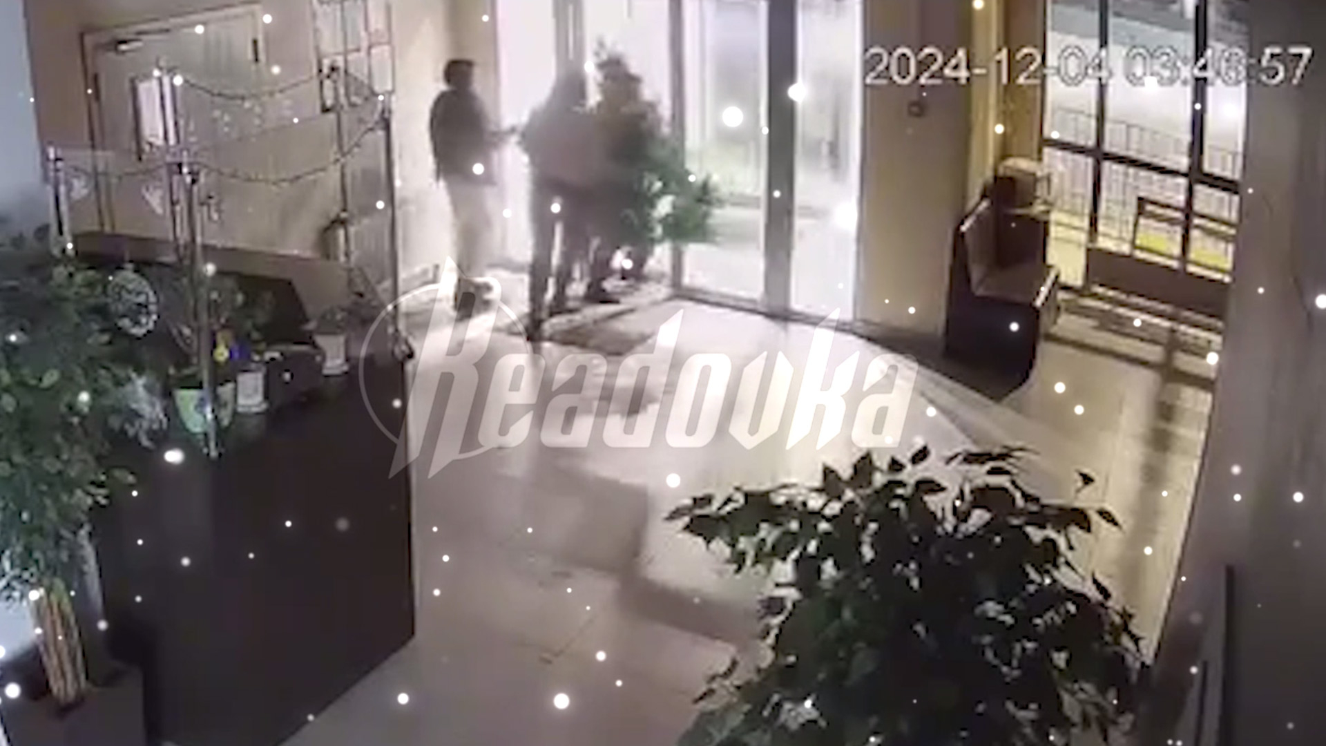 В Уфе пьяные девушки украли новогоднюю елку