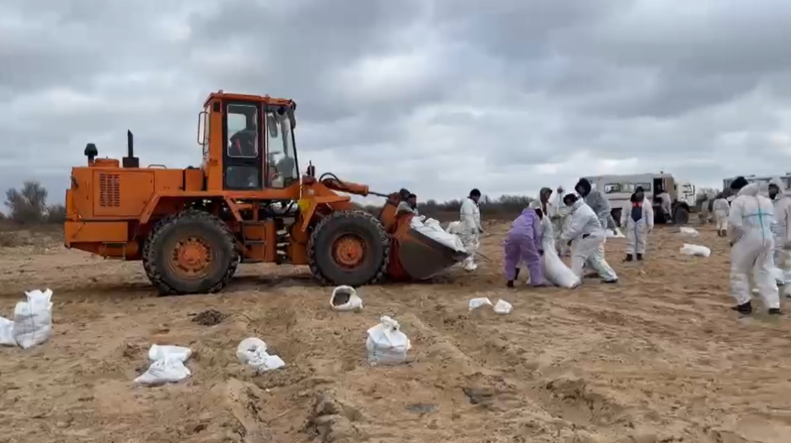С побережья Кубани собрали более 71 тыс тонн загрязненного мазутом песка