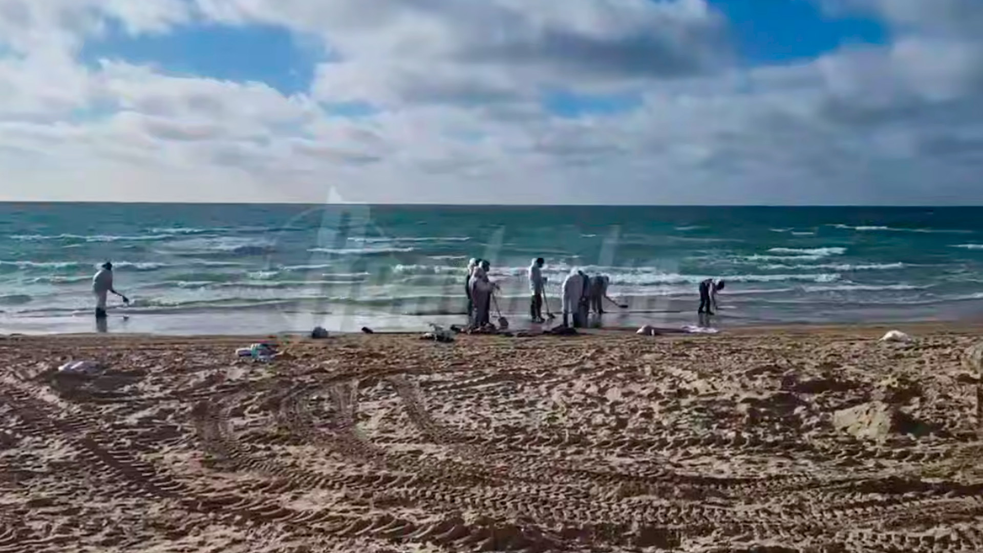 В Анапе волонтеры спасли десятки птиц после нового рекордного выброса мазута