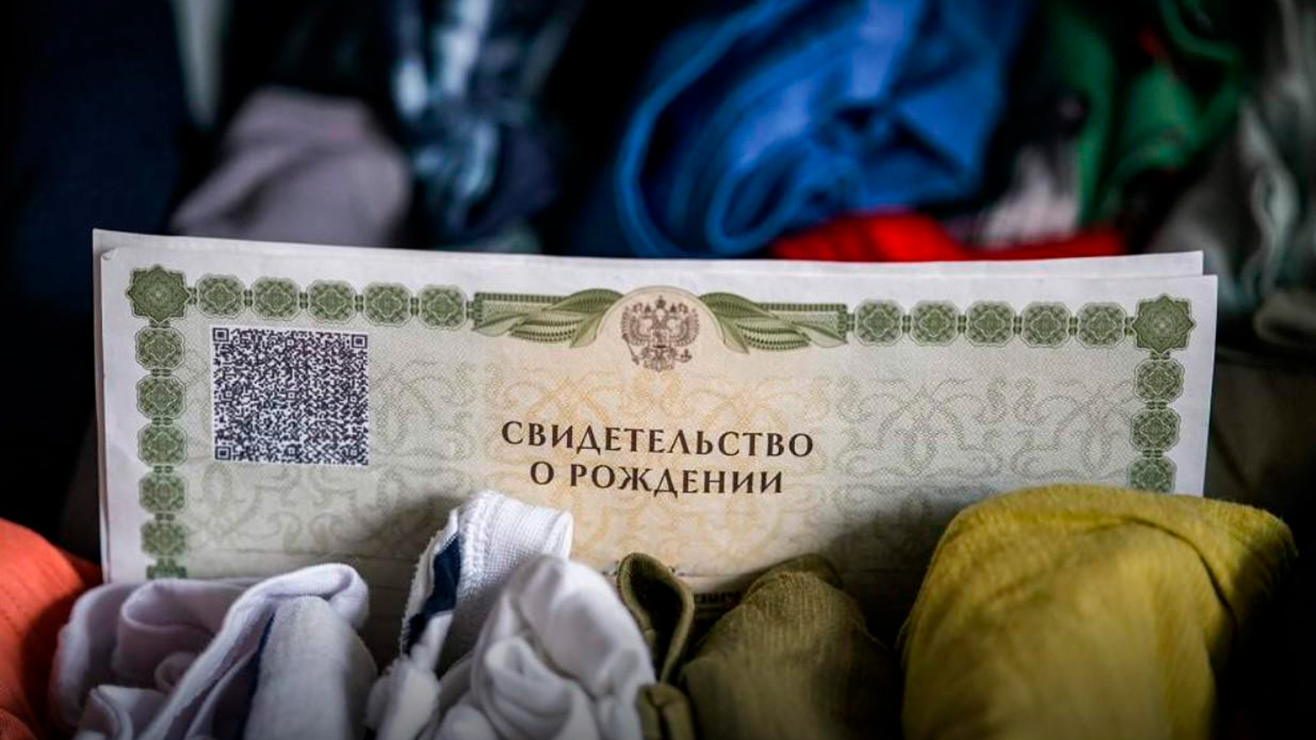 В России раскрыли аферу с незаконным присвоением детских выплат