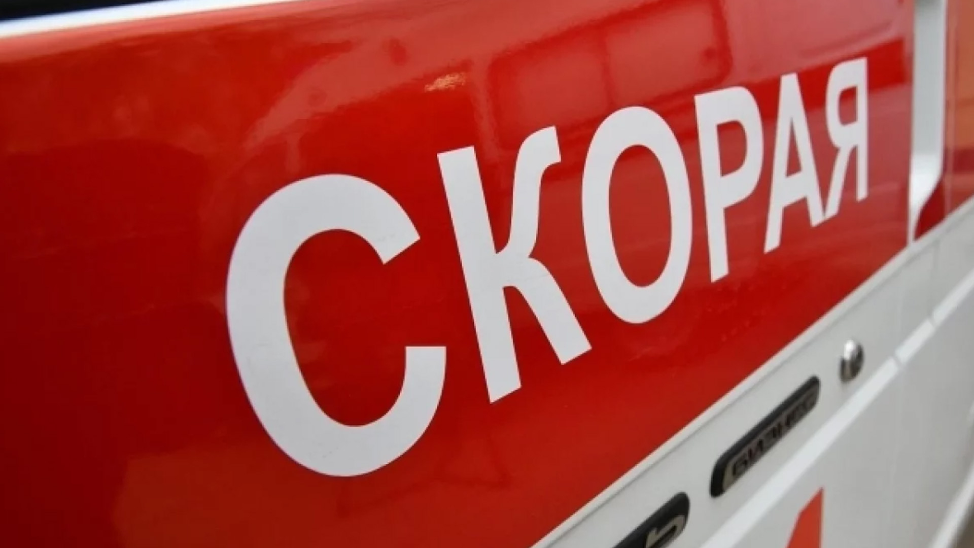В Курской области загорелась птицефабрика
