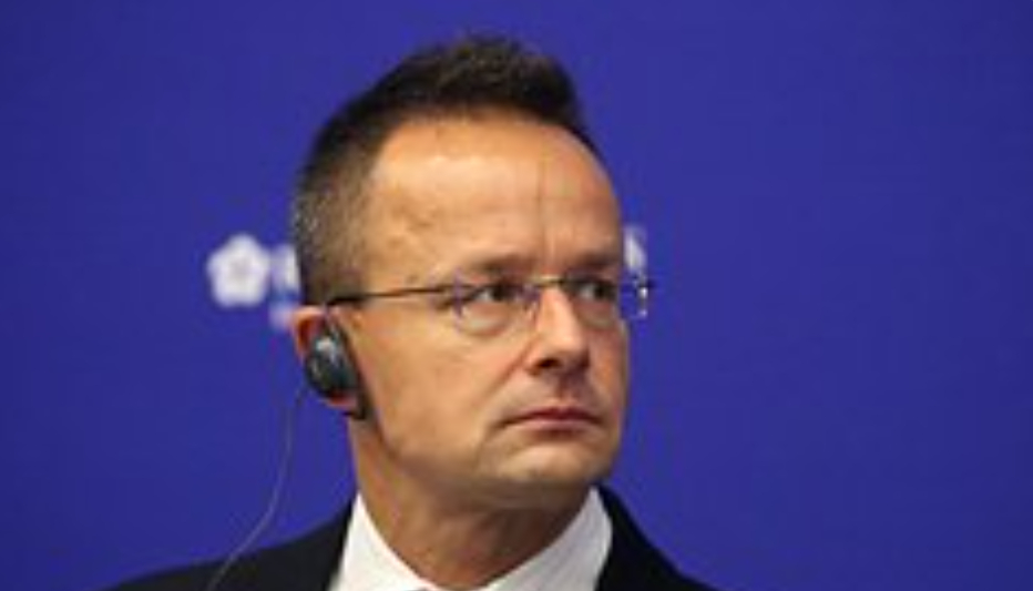 Глава МИД Венгрии назвал атаку ВСУ на станцию «Русская» посягательством на суверенитет стран Европы