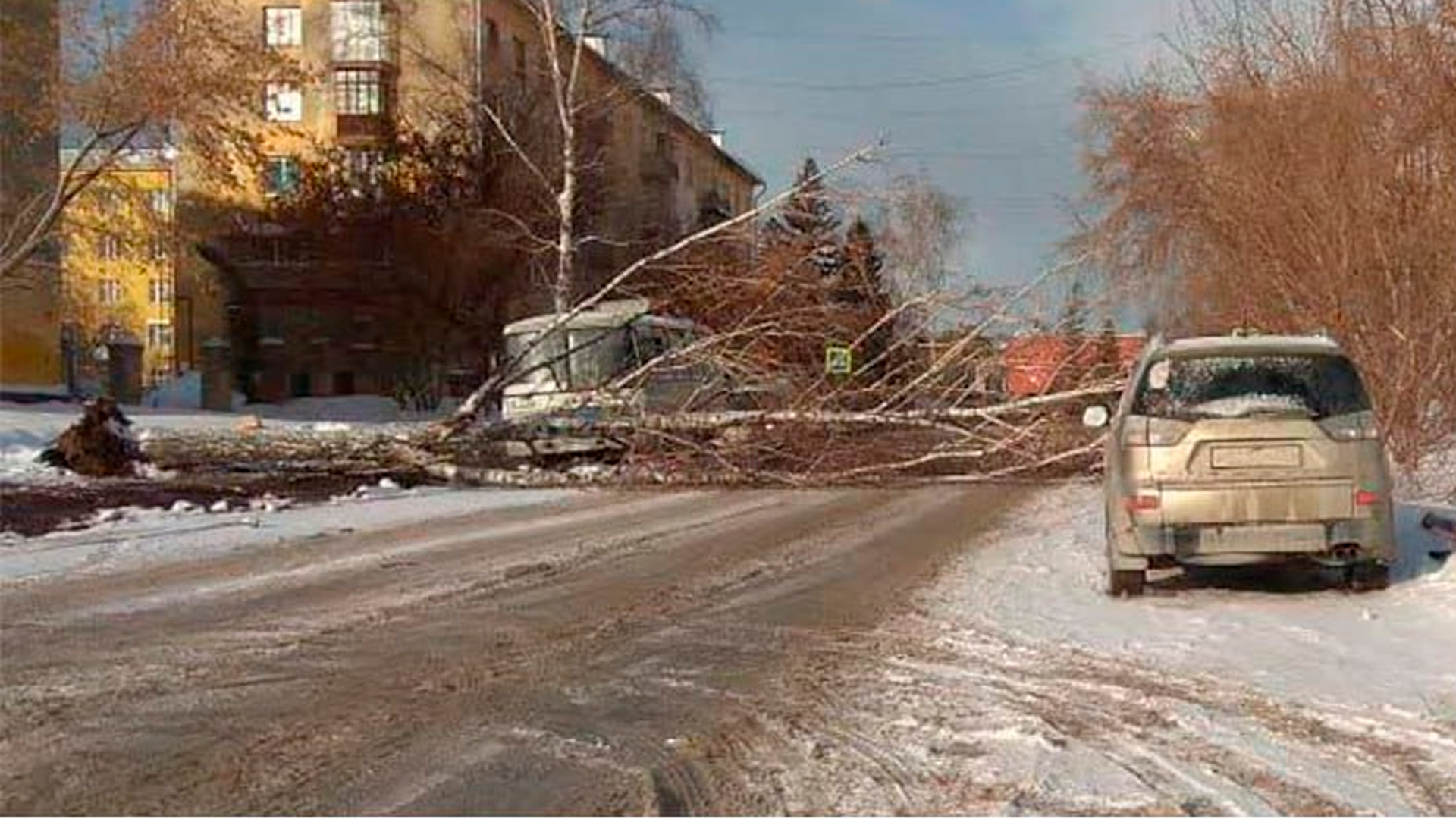 Снежный буран накрыл Новосибирскую область