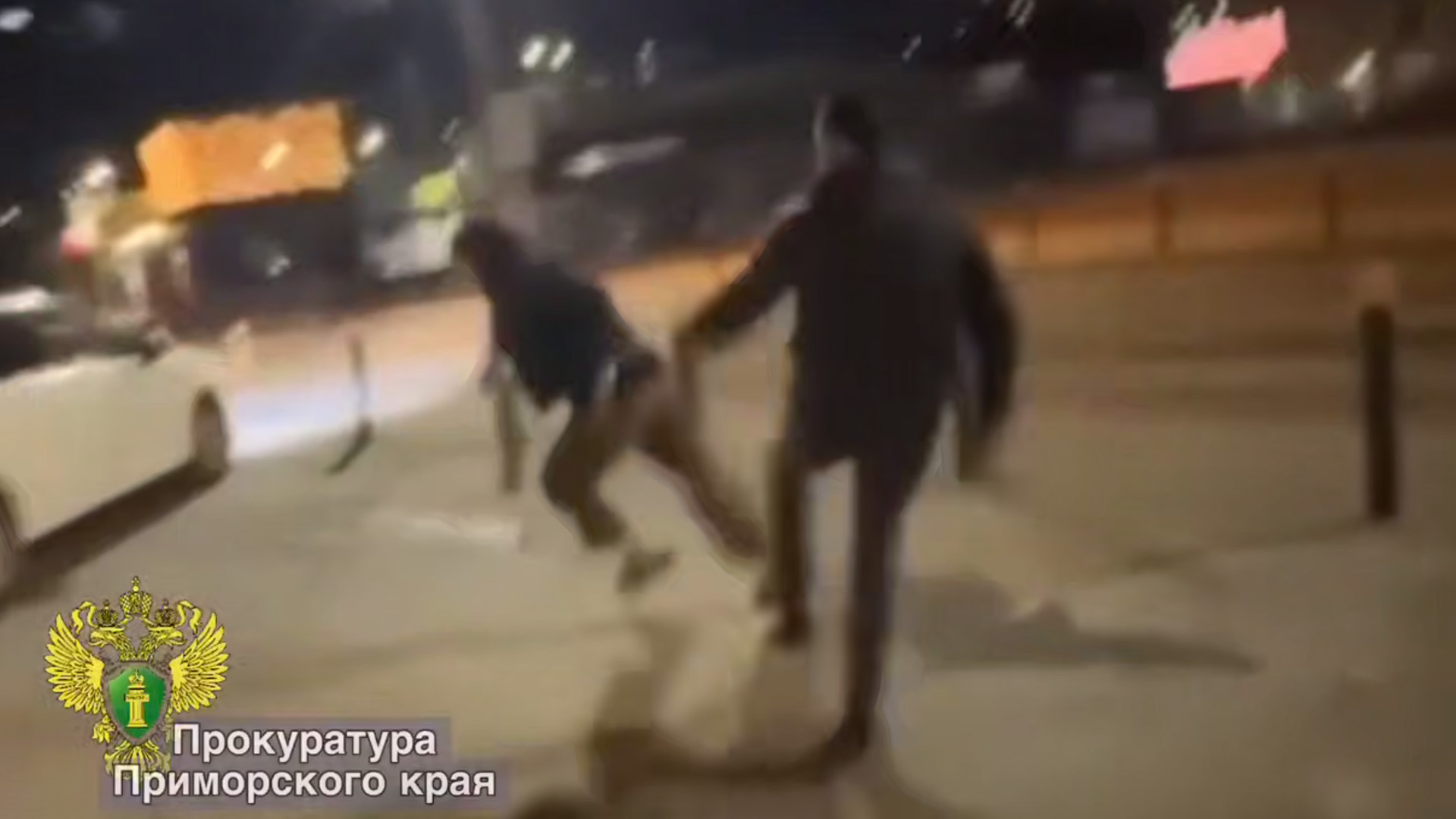 Во Владивостоке толпа мигрантов избила молодых людей, заступившихся за девушку