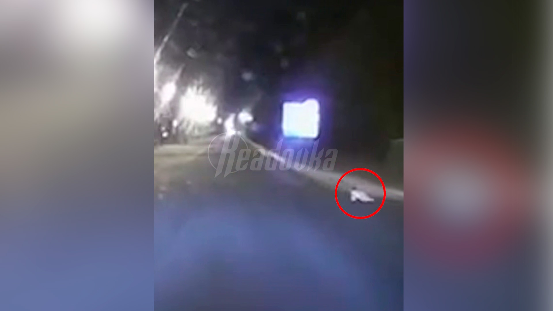 Младенец выполз ночью на шоссе в Подмосковье