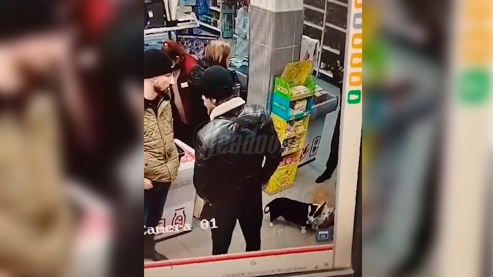 В Мурино мужчина запинал собаку и избил ее хозяйку в магазине