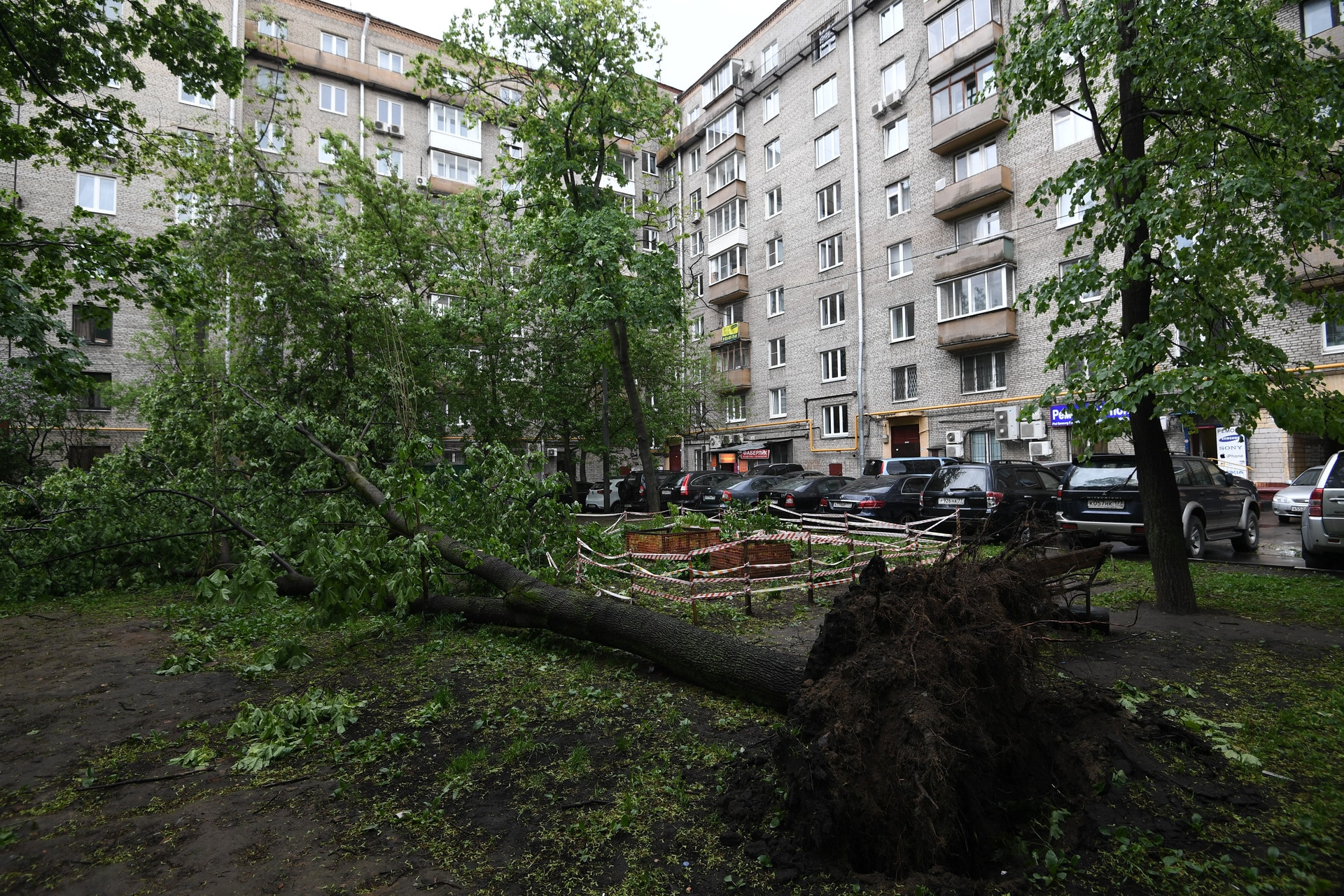 По последним данным жертвами бури в Москве стали 12 человек