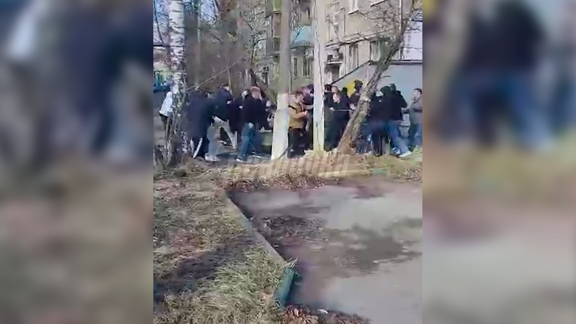 Футбольные болельщики устроили драку с поножовщиной в Химках