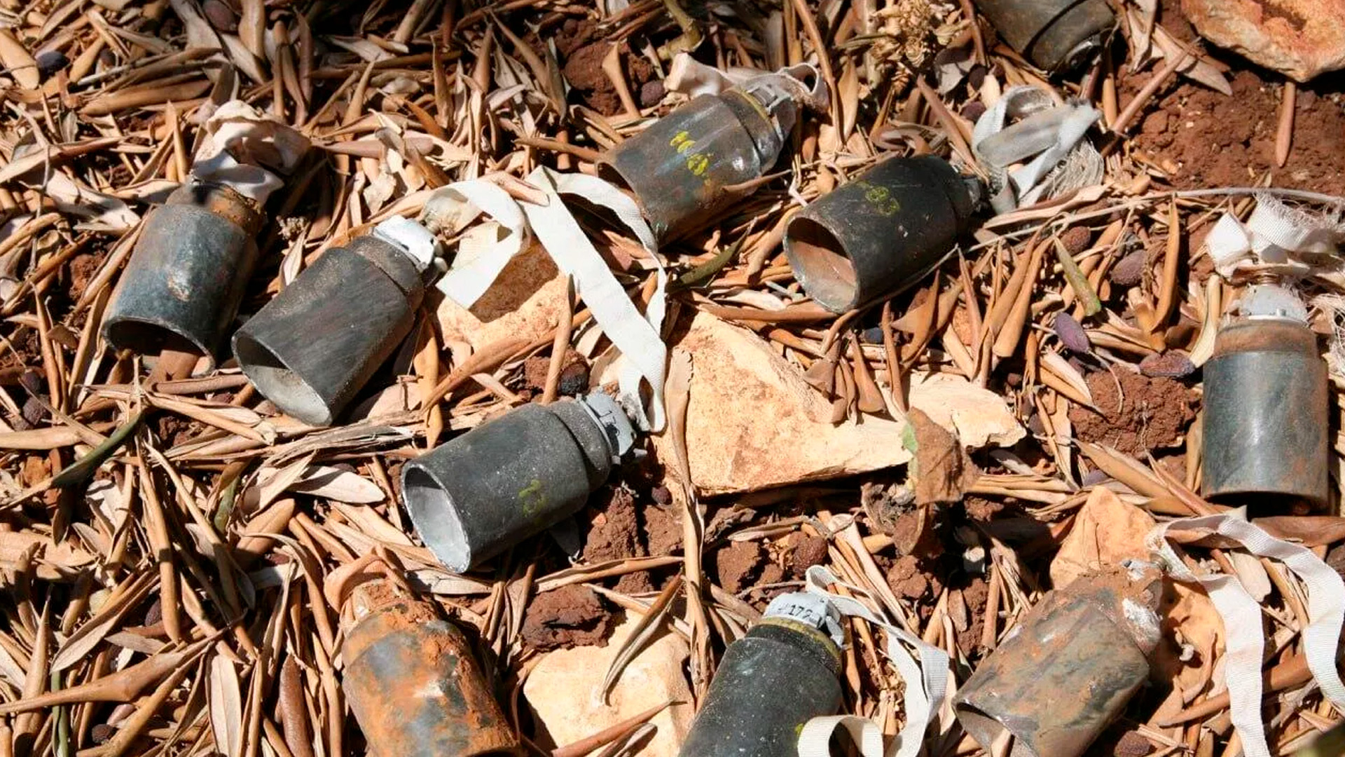 Под Белгородом мужчине оторвало стопу из-за сдетонировавшей мины