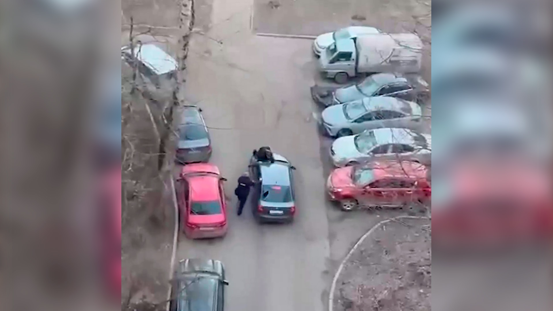 Пьяный москвич прокатил полицейского на капоте