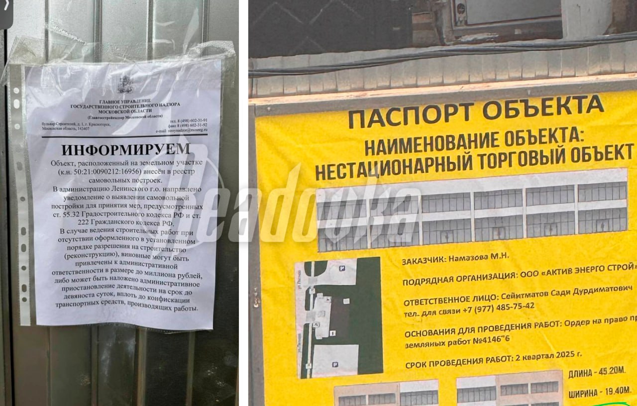 В Подмосковье мигранты решили прятаться от правоохранителей в лесу