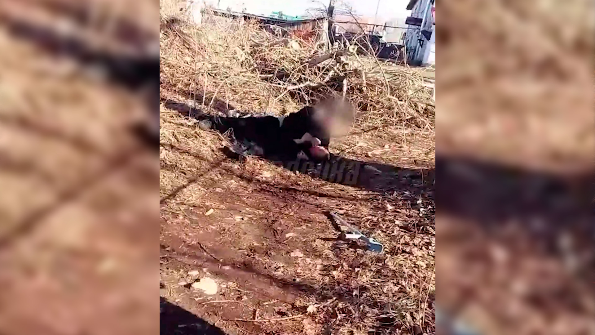 В Башкирии школьник избил ногами по голове мальчика-инвалида