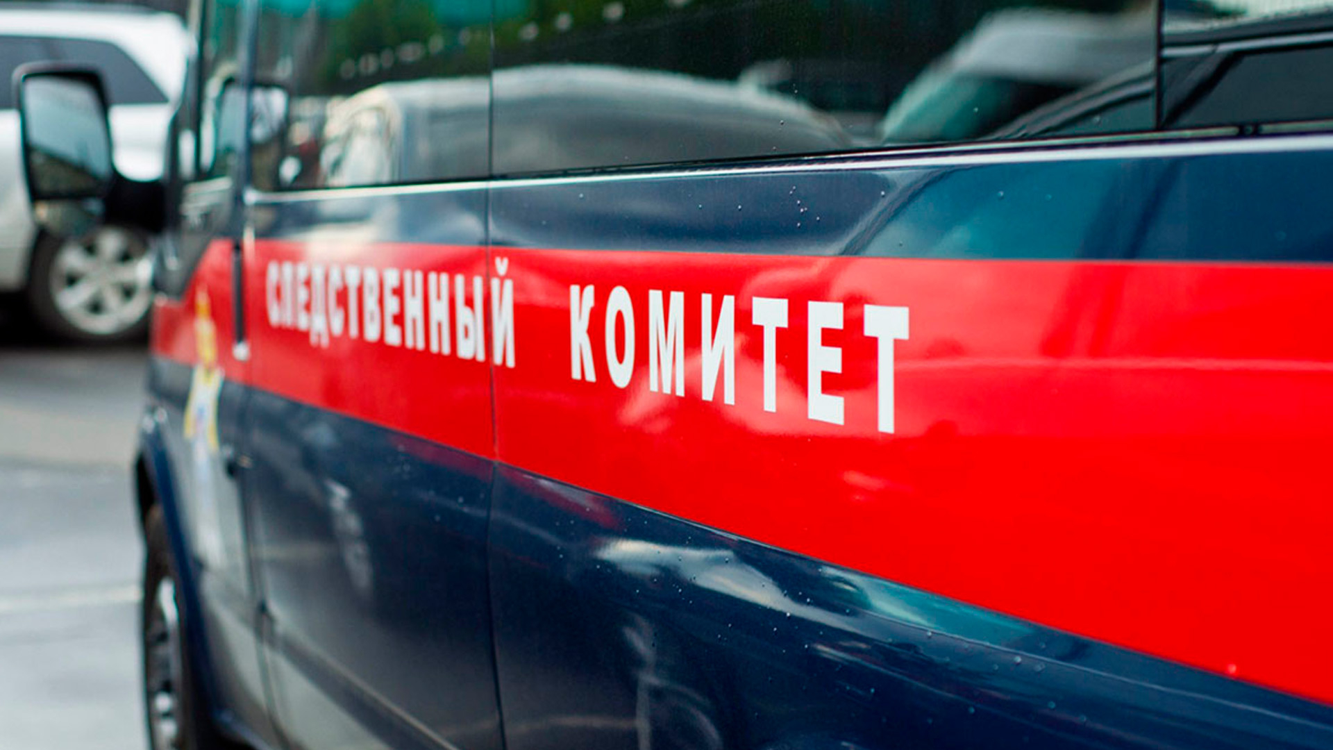Школьницу с перерезанным горлом нашли в подвале дома в ульяновском селе