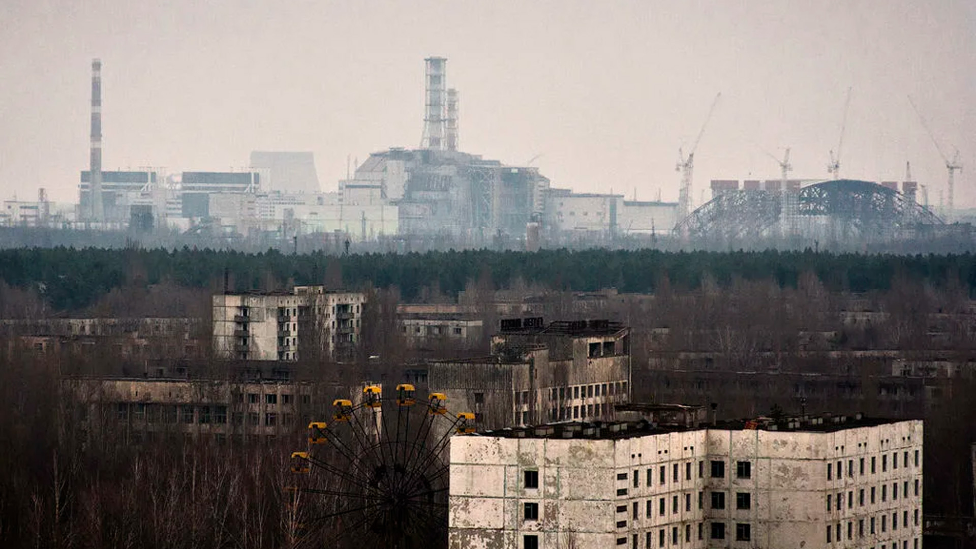 Украине предложили возродить сельское хозяйство в зоне Чернобыля