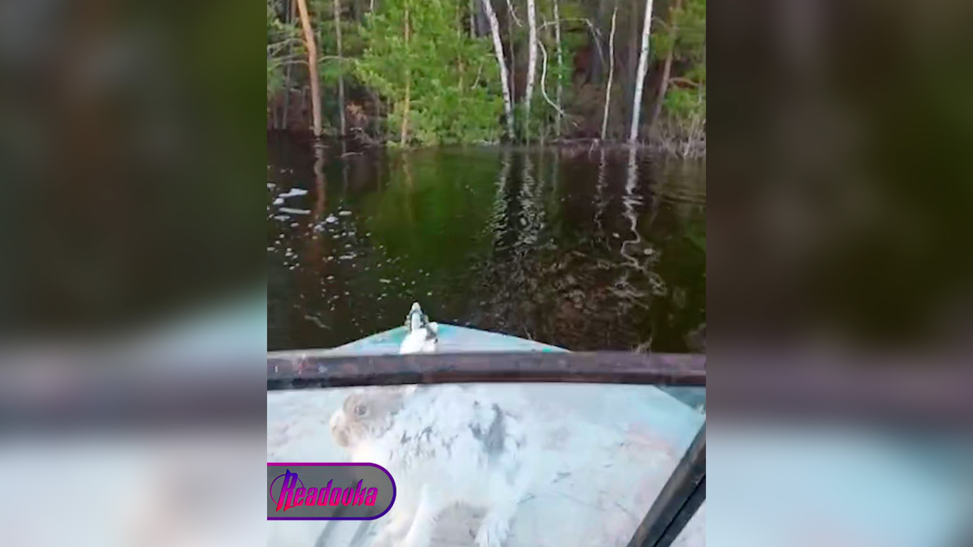 Жители Якутии спасли заячье семейство от наводнения