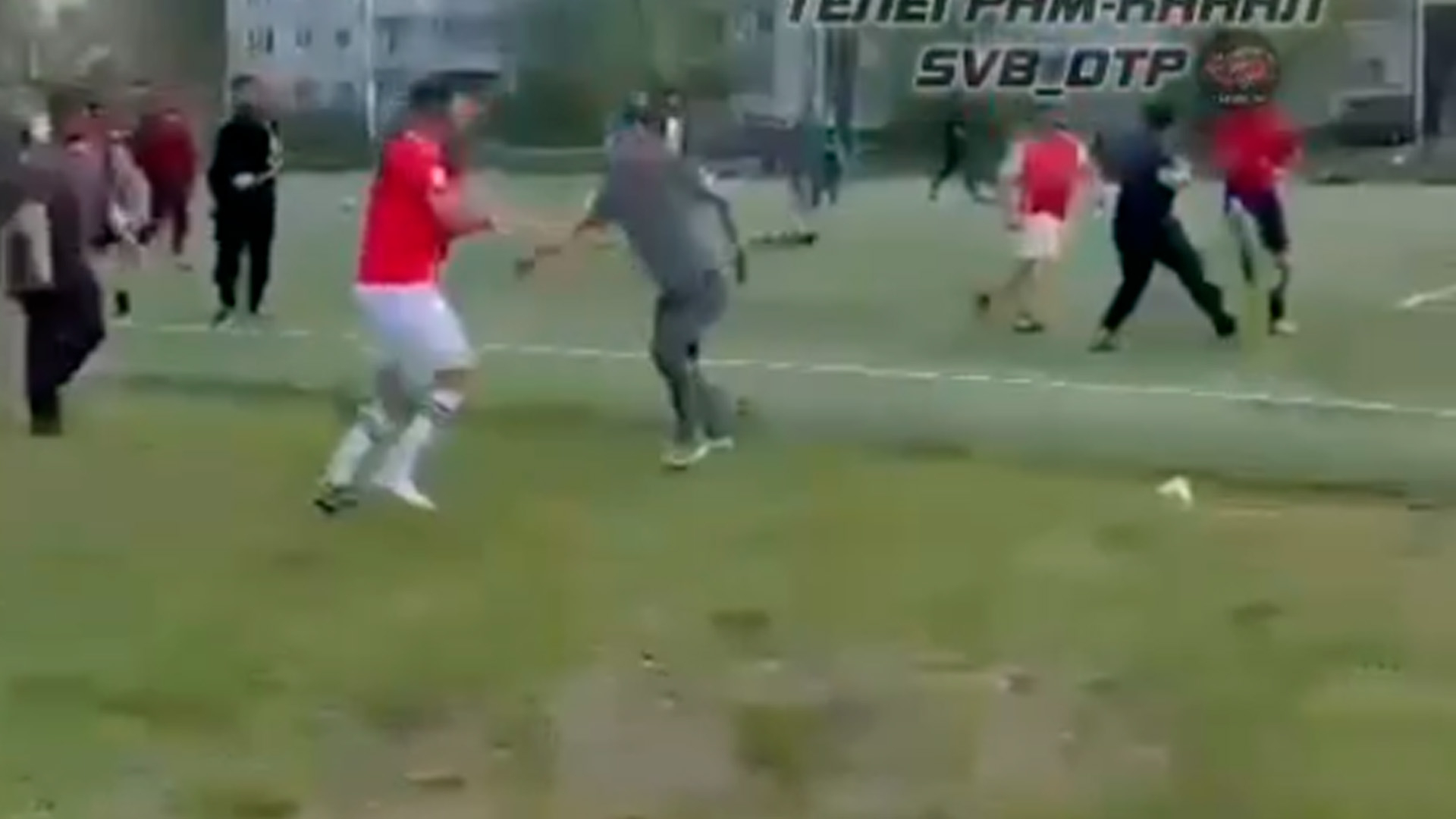 Толпа мигрантов устроила бойню прямо на школьном стадионе
