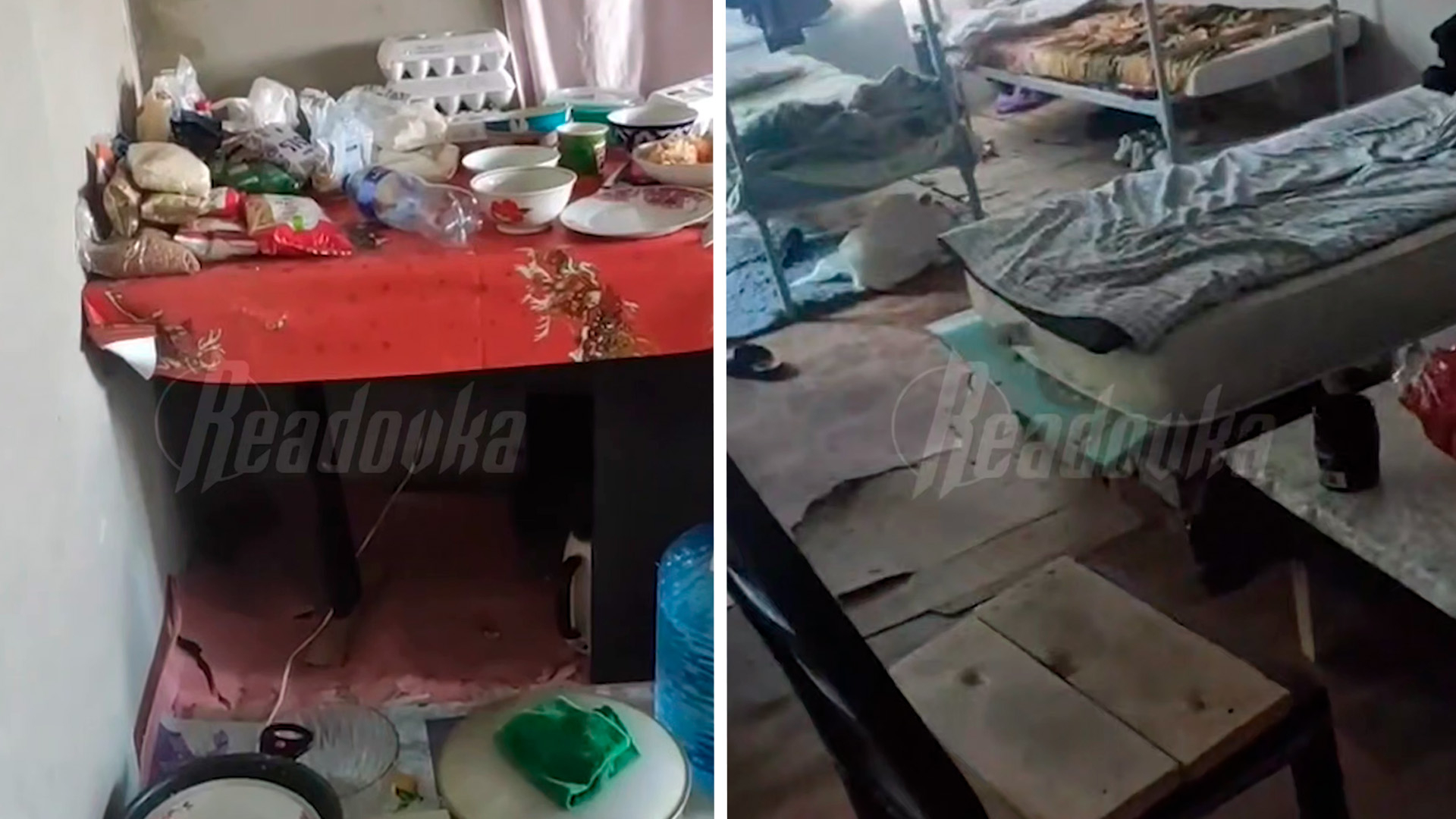 Притон с клопами и тараканами устроили из квартиры мигранты в подмосковном ЖК