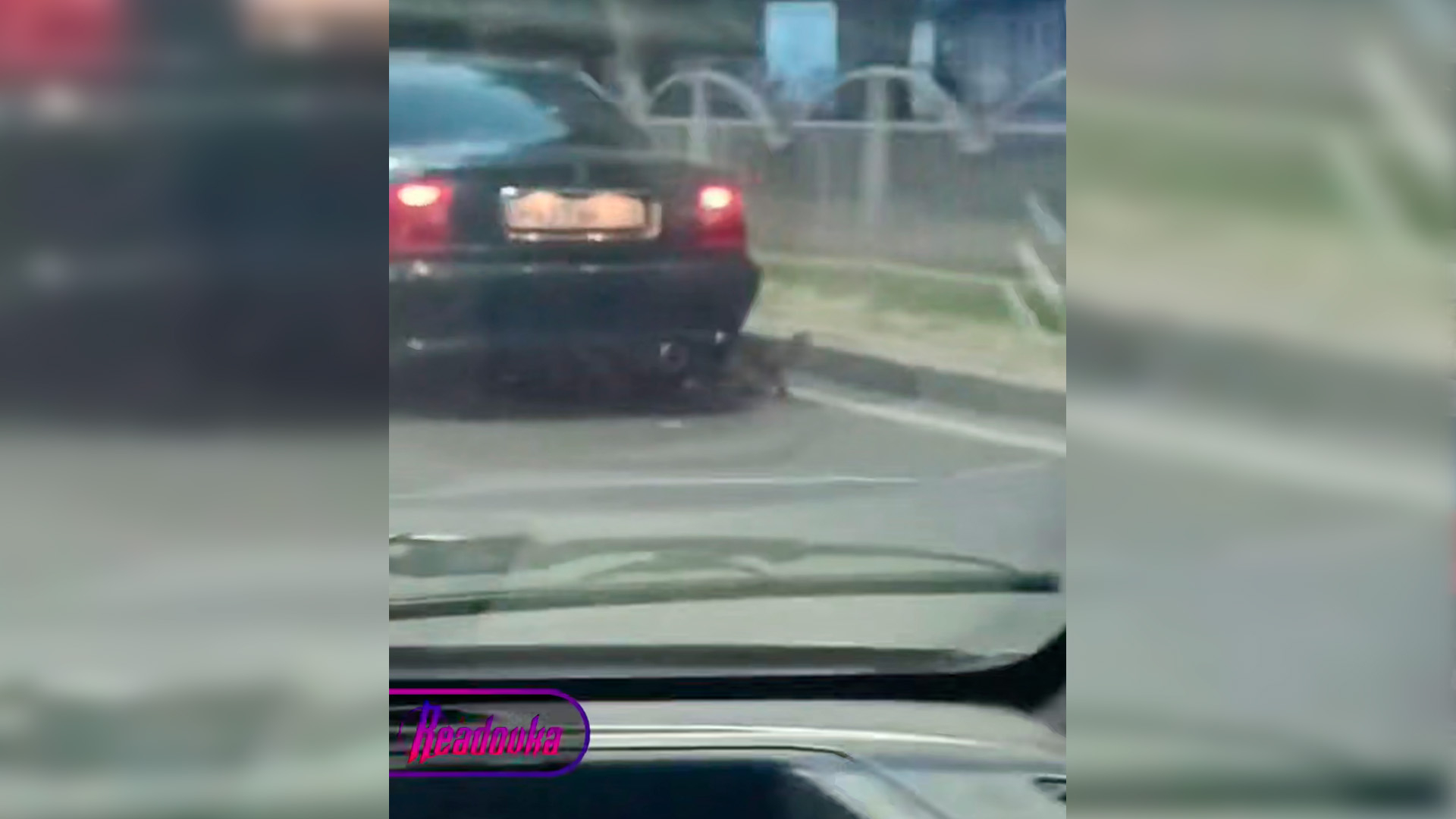В Мариуполе владельцы привязали собаку к машине и протащили по городу